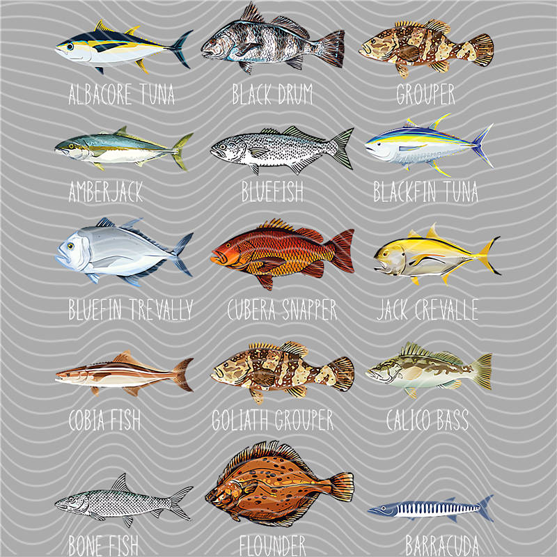 Fishing Series-DY 19